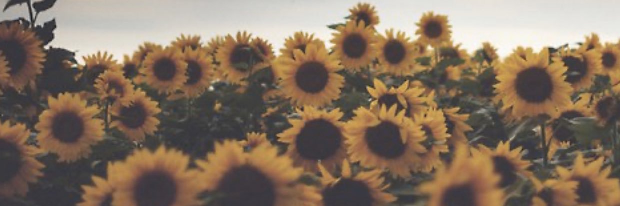 Jas 🌻's banner