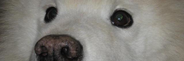 nuria_vd's profile banner image