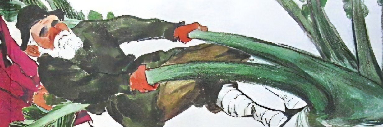 kabugoma's profile banner image