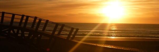 gggesell's profile banner image