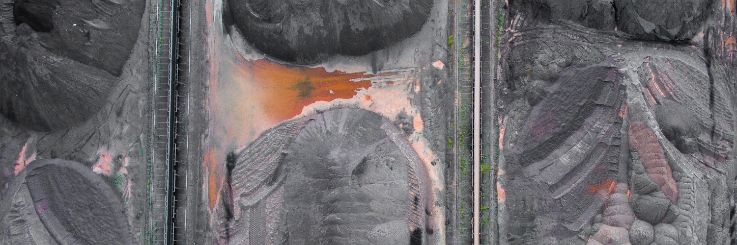 Solène Wolff banner