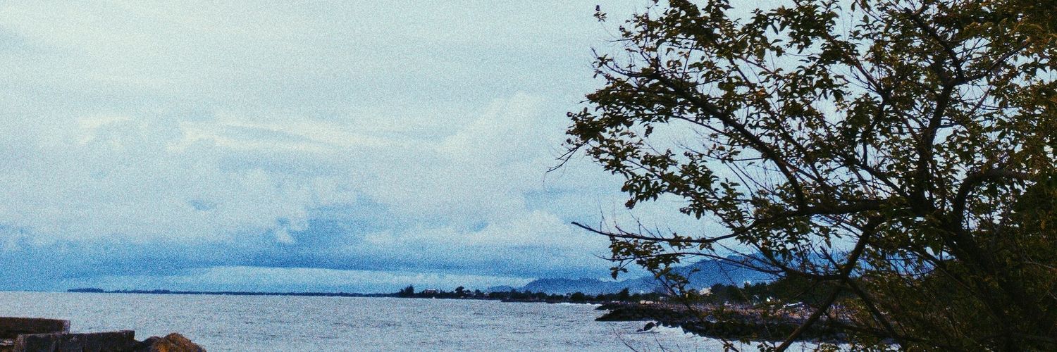 absenduluu's profile banner image