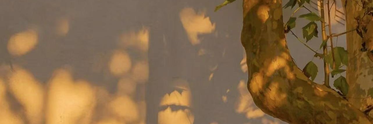 duquecesar59's profile banner image