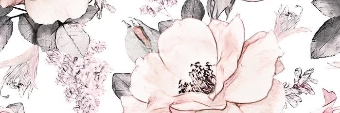 littlegingie's profile banner image