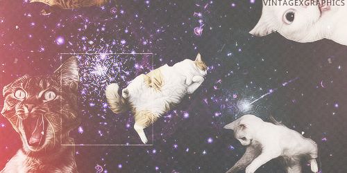 Nadyaxika's profile banner image