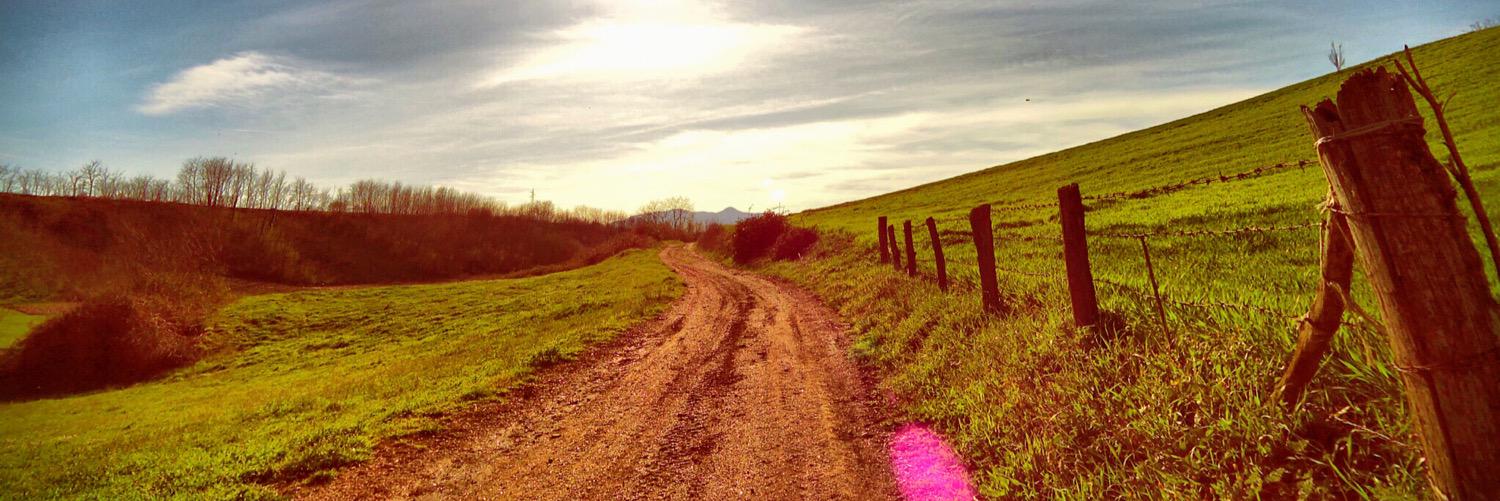 runners975_run's profile banner image