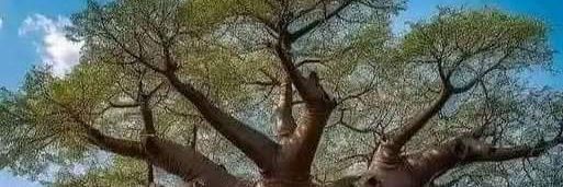 veedosm's profile banner image