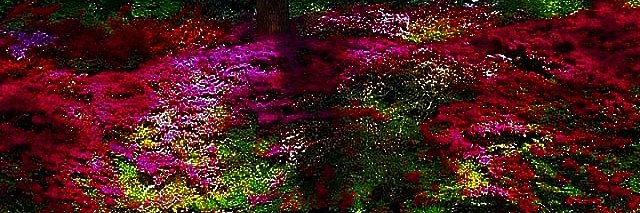 Childéric Ebinda banner