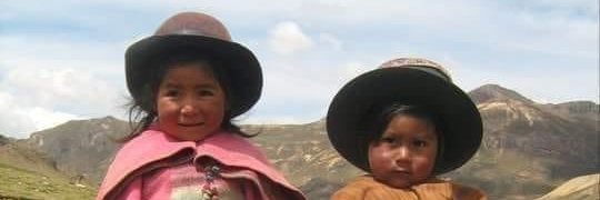 Carlos del Carpio Palomino 🦥🙏🏾✌🏾🇵🇪🇪🇺🇬🇧☮️ banner