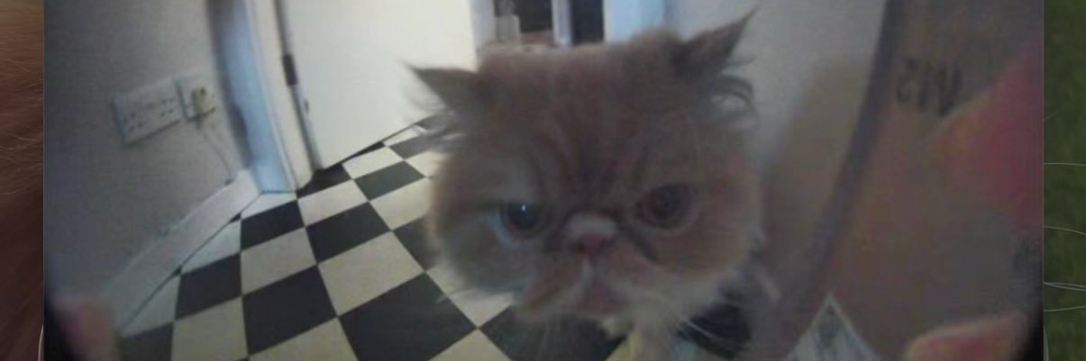 CallMeMischa's profile banner image