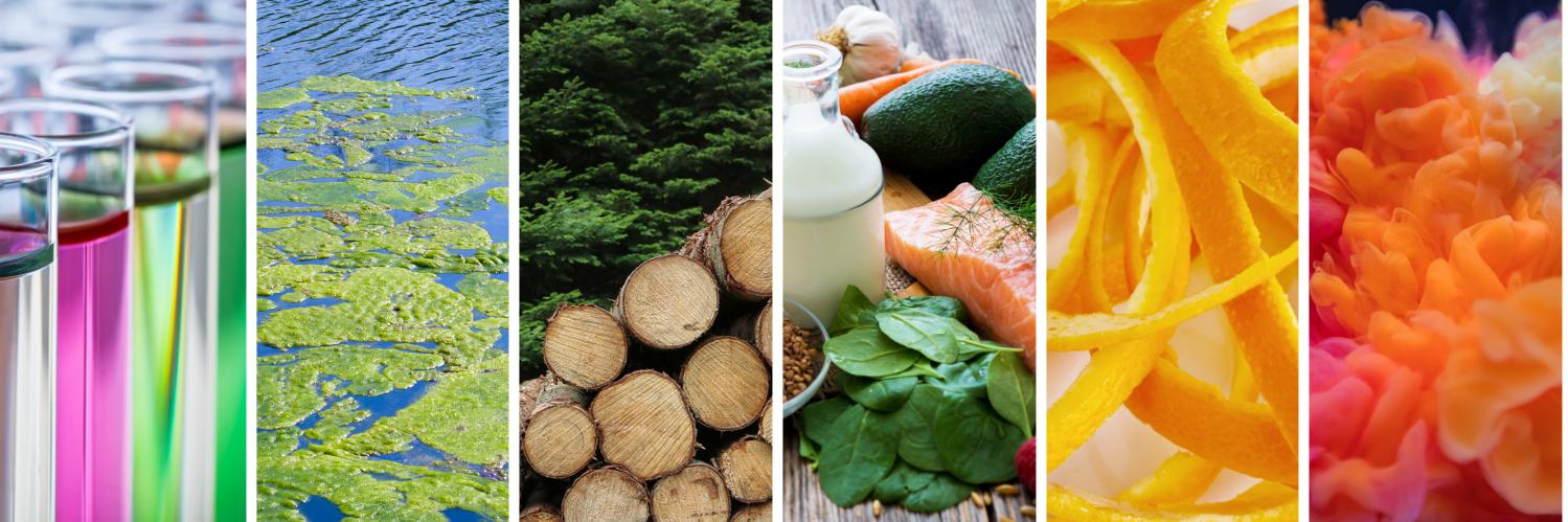 Bio-based Industries Consortium banner