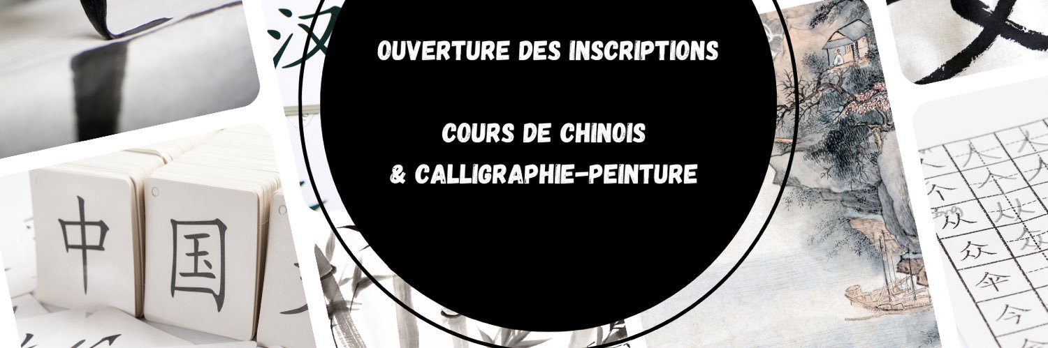 Institut Confucius banner