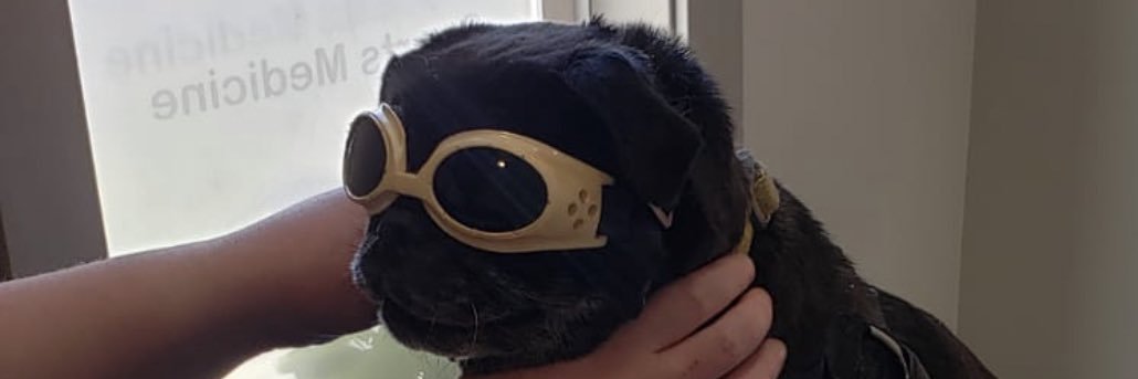Jillyjigs306's profile banner image