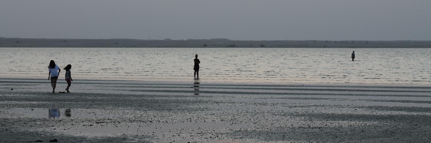 emilietf's profile banner image