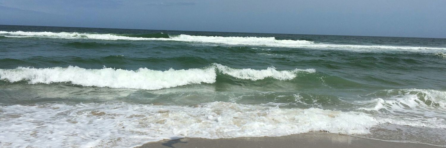 denisedailey's profile banner image