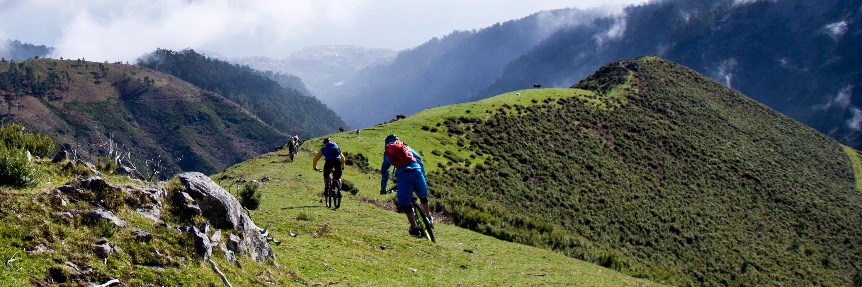 FreerideMadeira's profile banner image