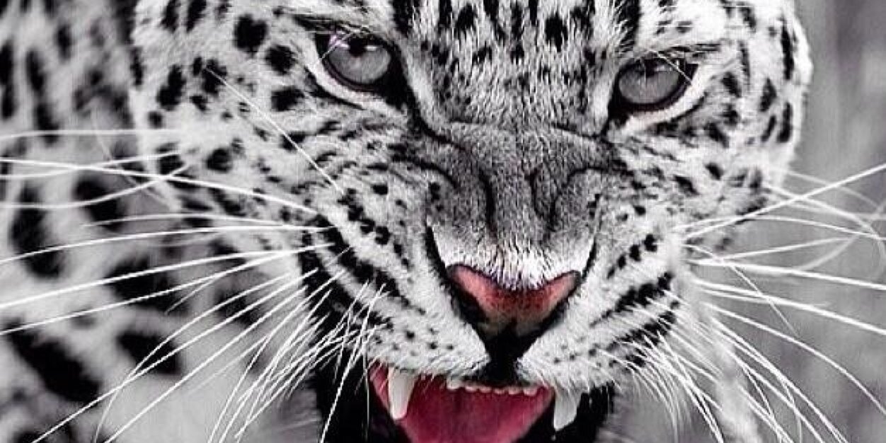 Wessel10_'s profile banner image