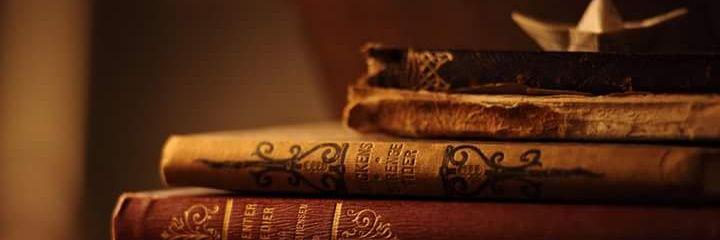 SevdeBLGN's profile banner image