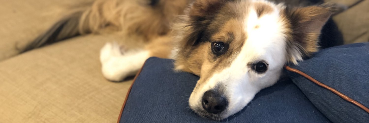 drkatekessler's profile banner image