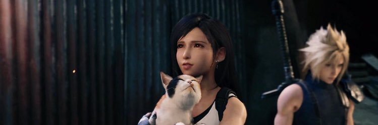 人面猫 banner