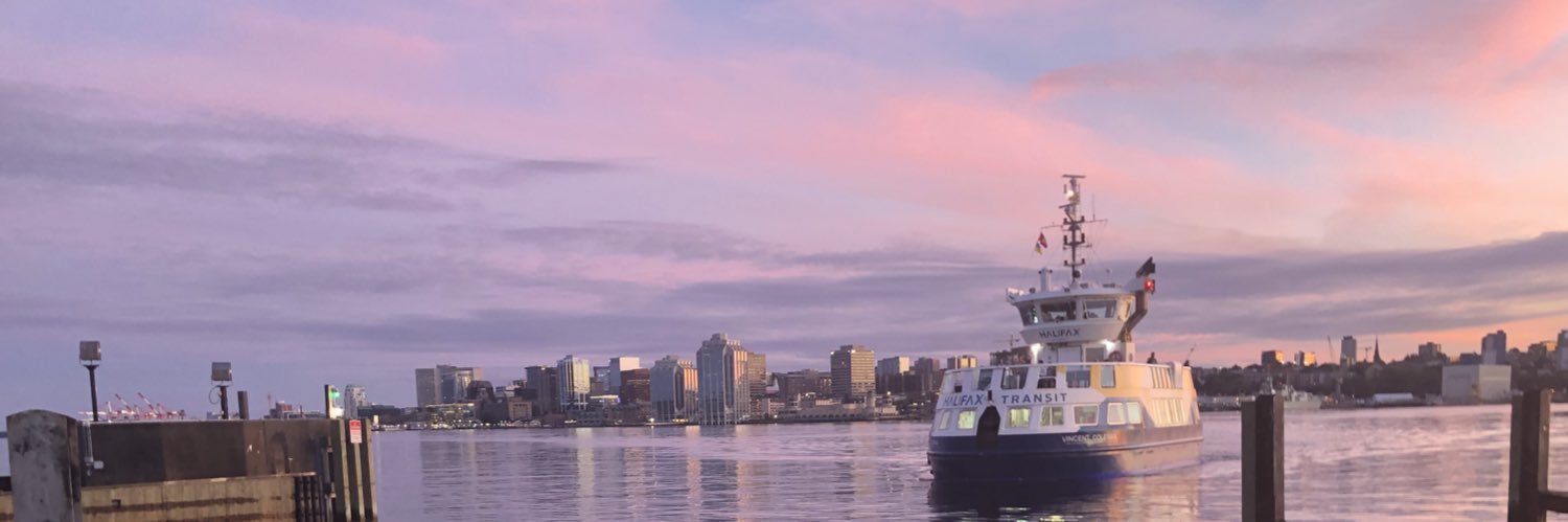 Remo Zaccagna banner