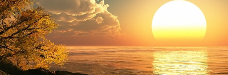 صالح بن مليح banner