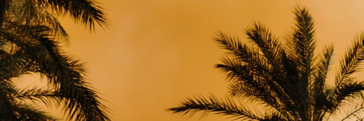 anothertunisian's profile banner image