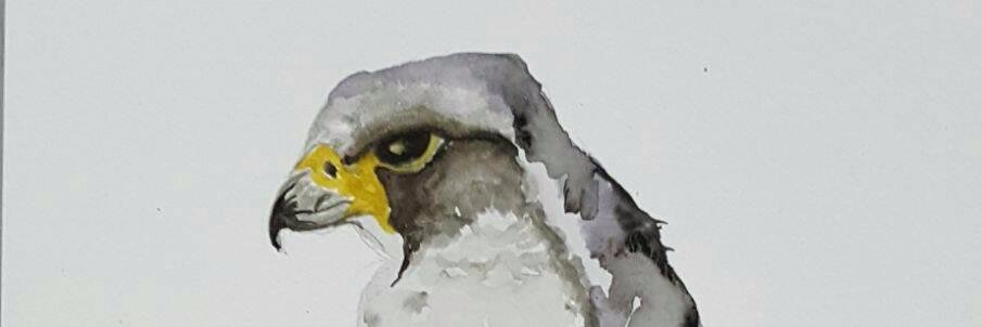 Farrelly57's profile banner image