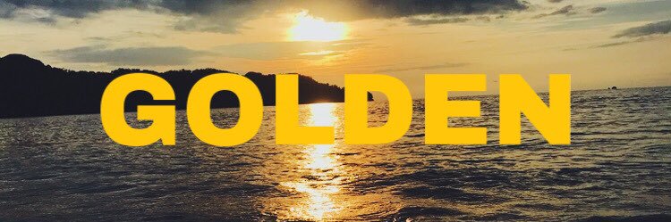 _sunflowerhabit's profile banner image