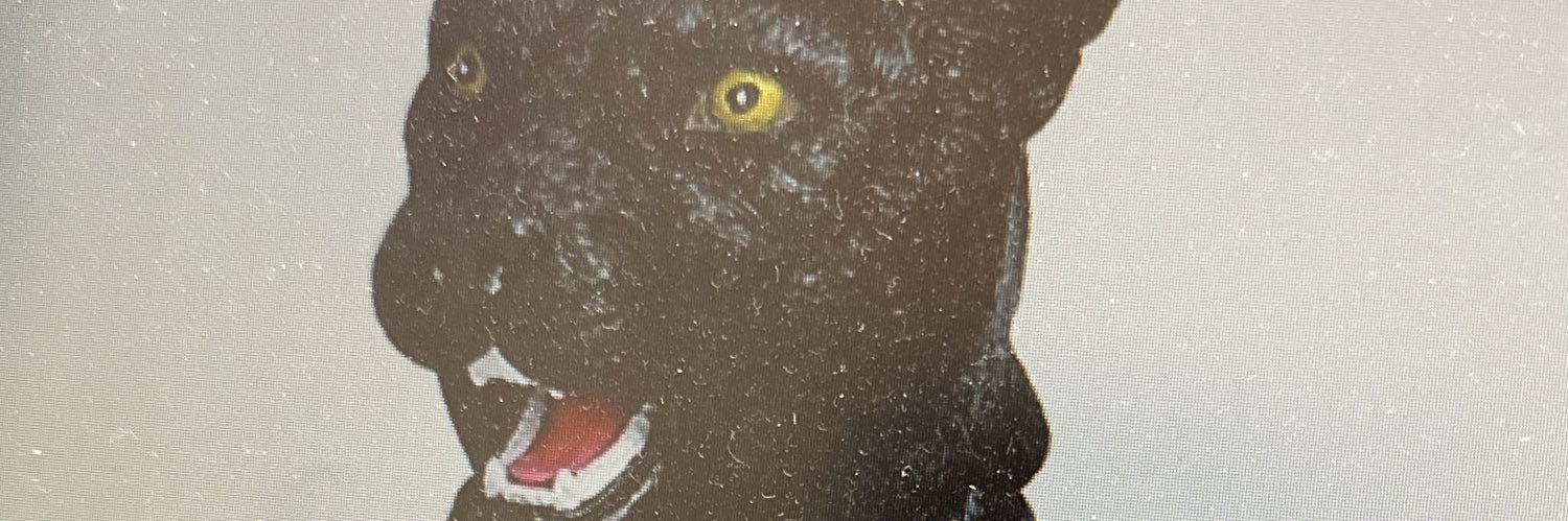 mama_zipes's profile banner image