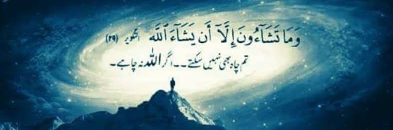 Zohaib Kibzai banner