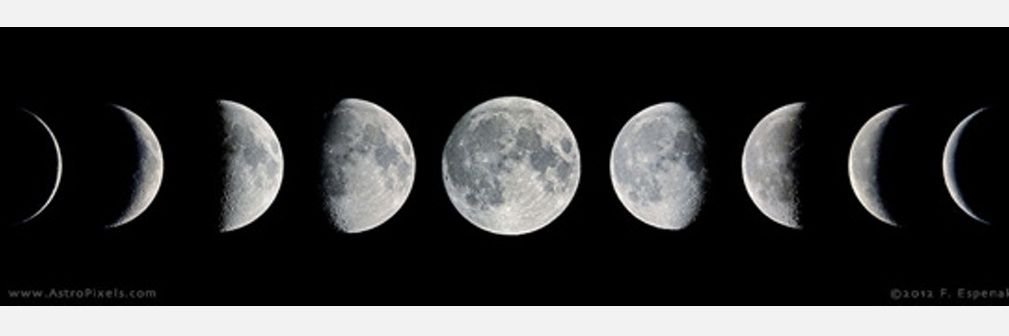 NeusGuimera's profile banner image