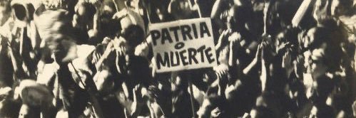 Pamela G banner