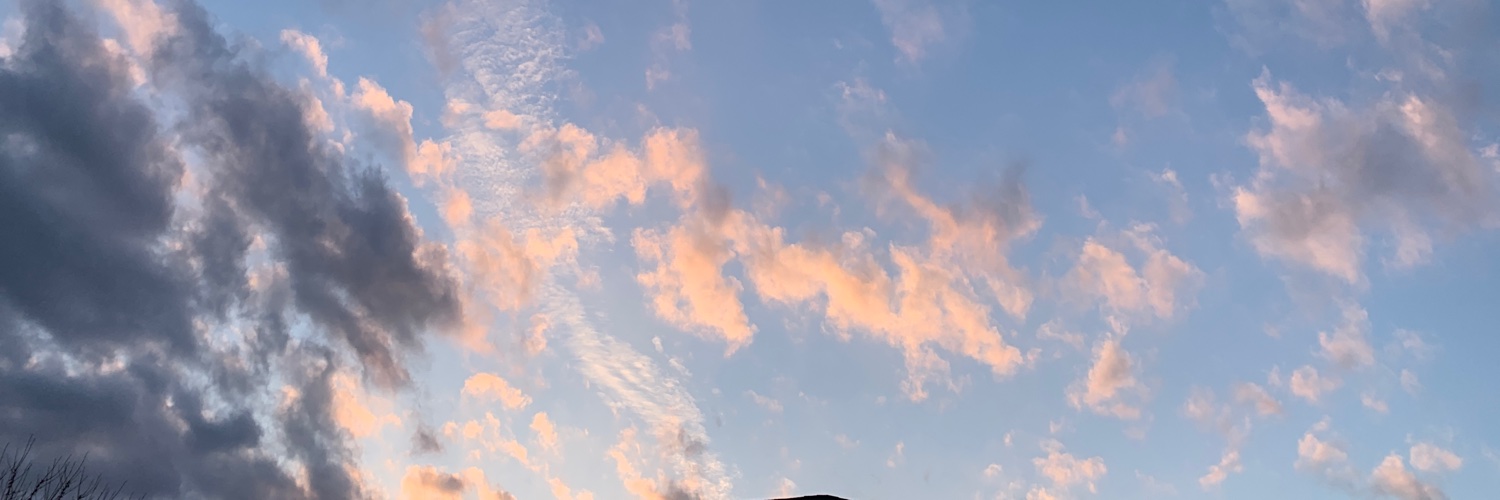 elbarrett98's profile banner image