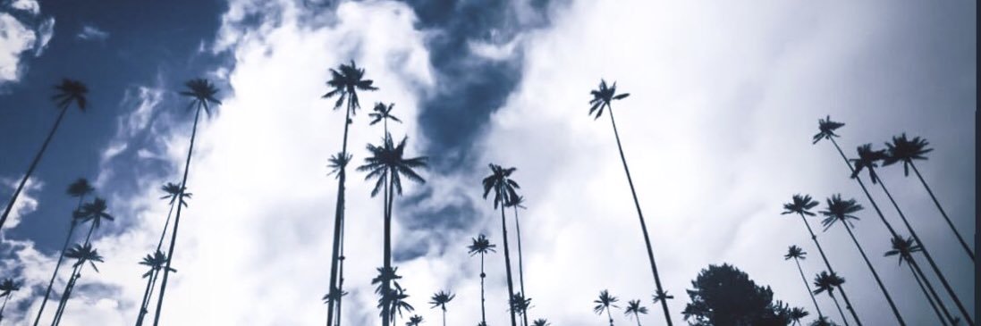 itsmomodoee's profile banner image