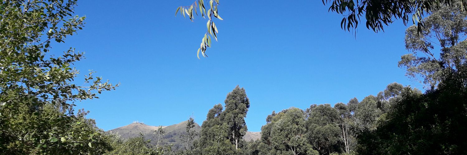 mandradele's profile banner image