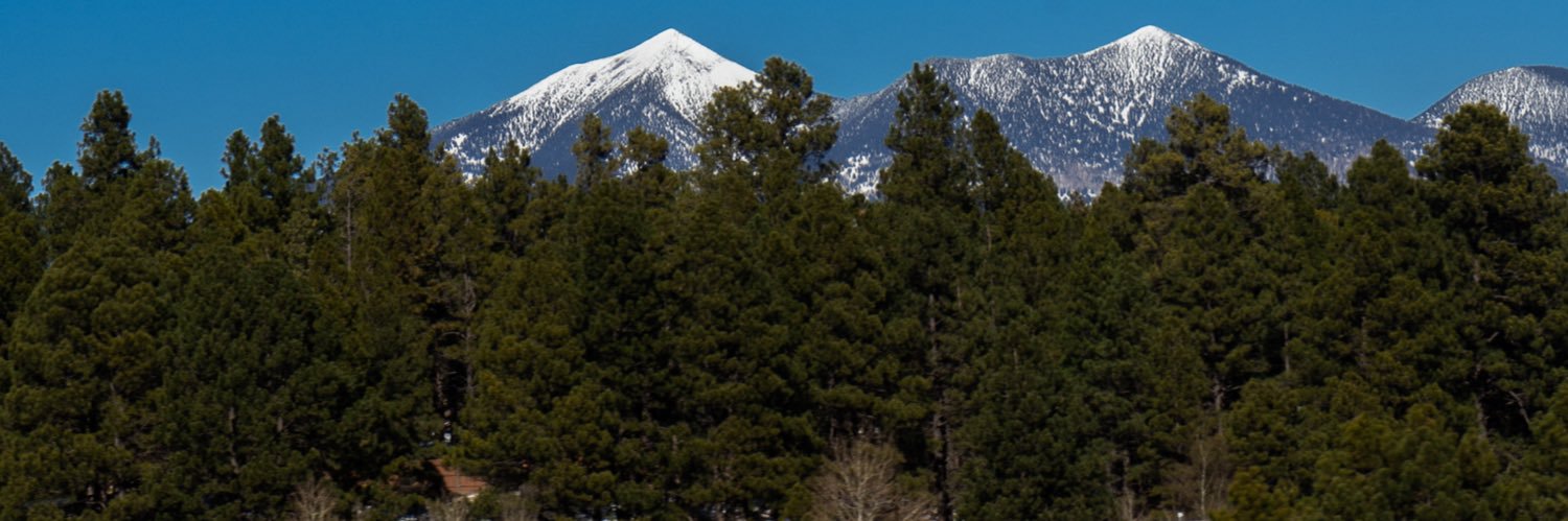 _TerrellAntwon's profile banner image