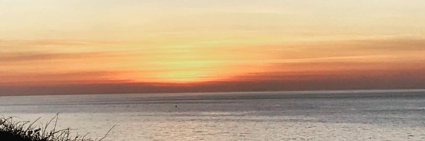 sarah benthall banner