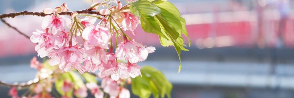 LC__0507's profile banner image