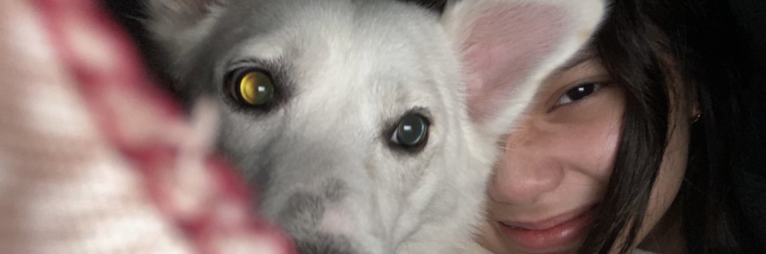 nicolex_dc's profile banner image
