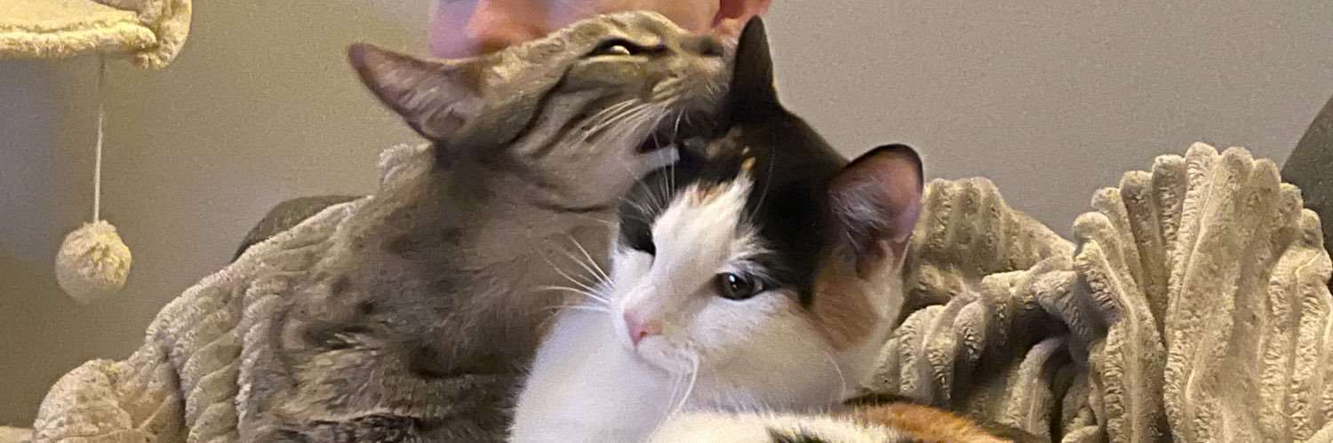 VoulezLew's profile banner image