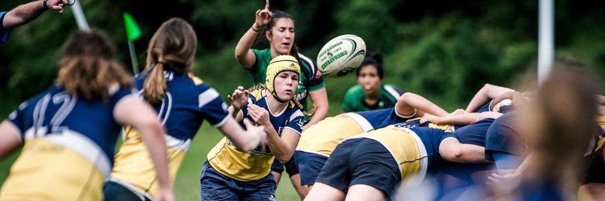 DC Furies Rugby Club banner