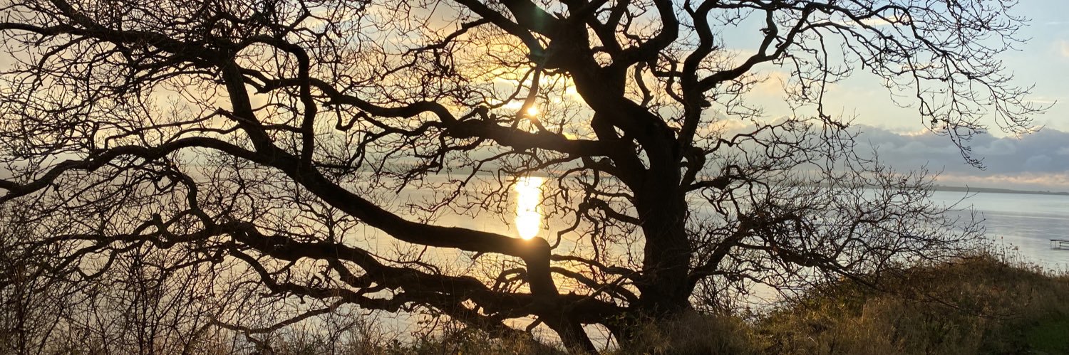 LundDenmark's profile banner image