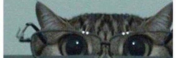 nick/firefeind1 banner