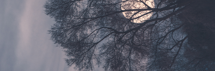CeliaB1209's profile banner image