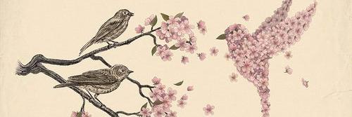 awkidrewauhl's profile banner image
