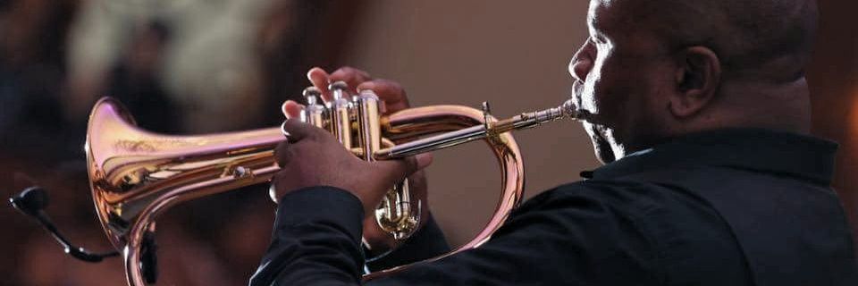 brooklyn2xl's profile banner image