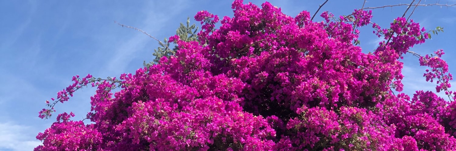 Jenny González A. banner