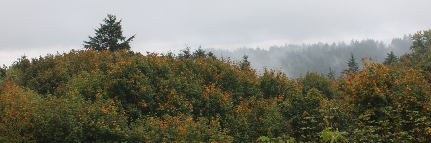 Cassiestark87's profile banner image