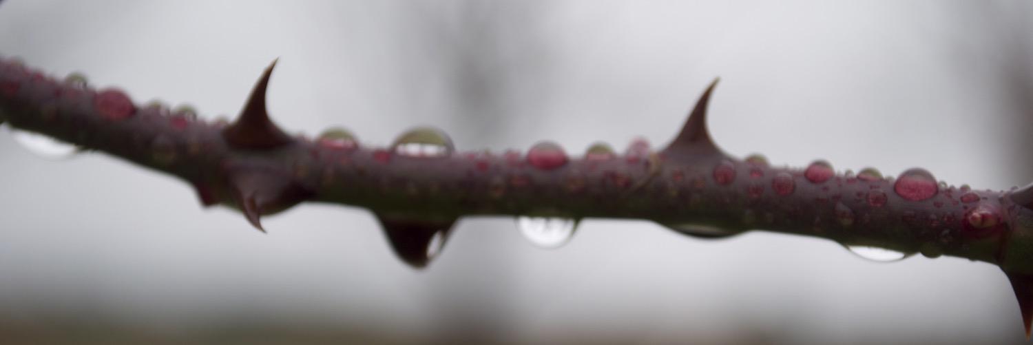 danielkberg's profile banner image